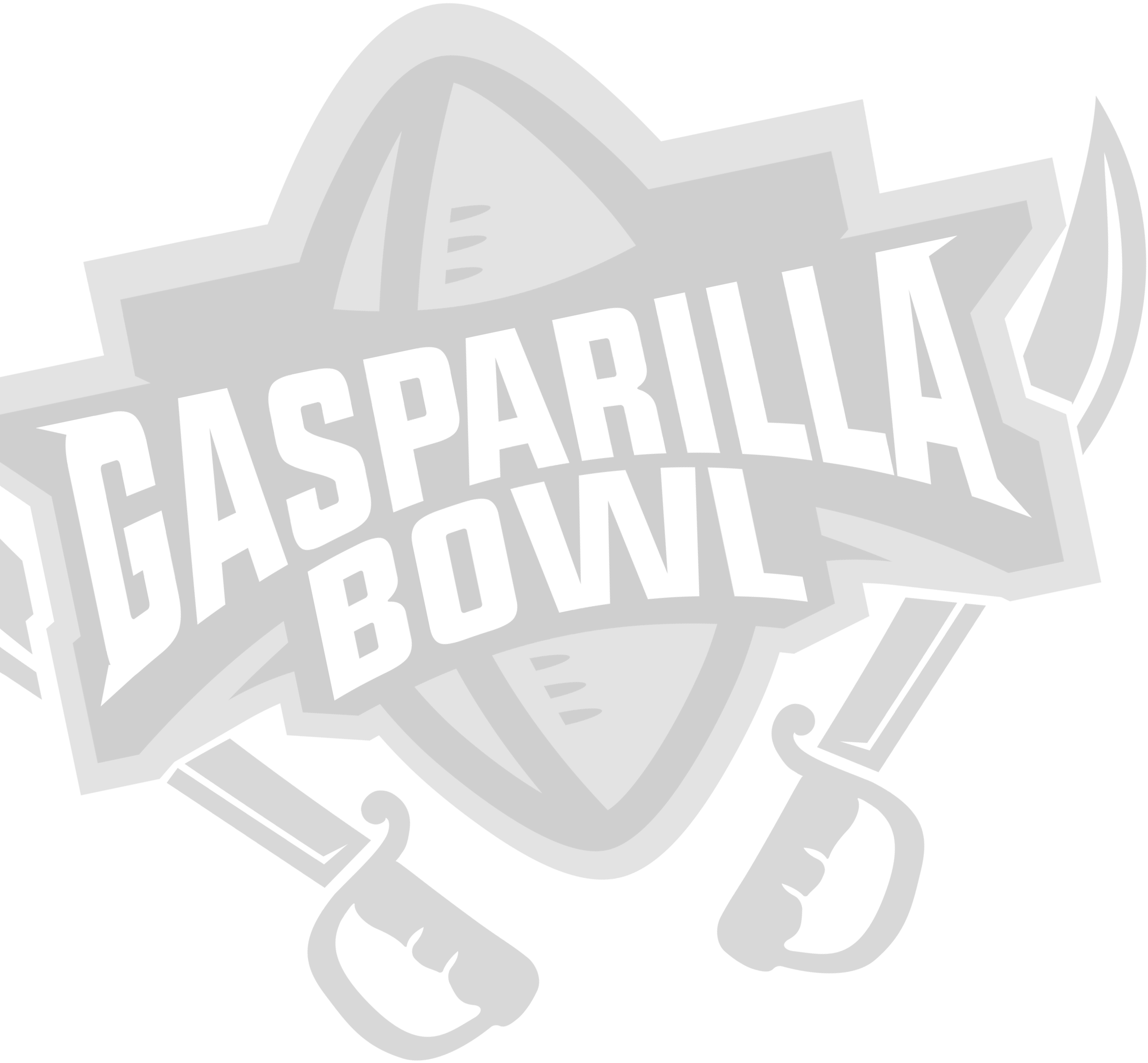 banner-gasparilla-logo